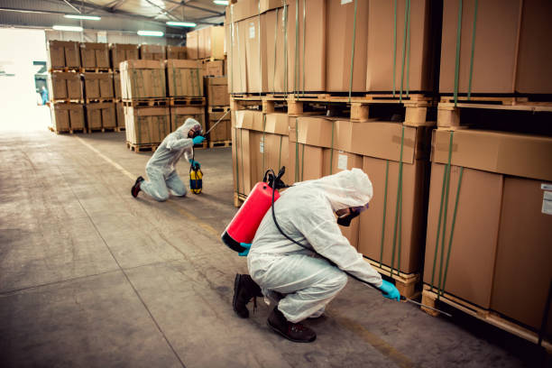 Best Termite Control Services  in Troy Hills, NJ