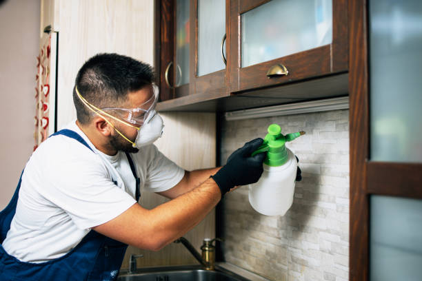 Best Pest Removal Services  in Troy Hills, NJ