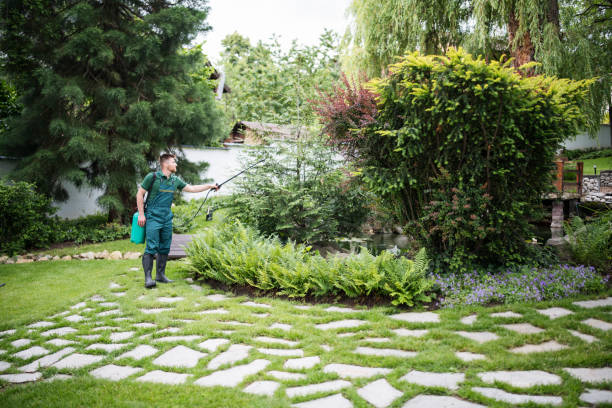 Best Pest Control Near Me  in Troy Hills, NJ