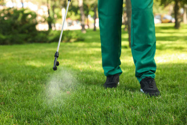 Best Ant Control Services  in Troy Hills, NJ