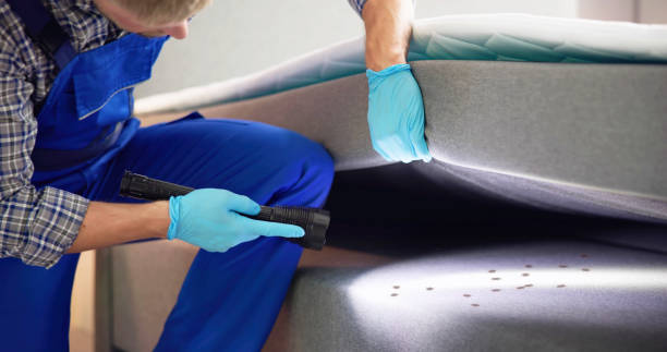 Best Termite Control Services  in Troy Hills, NJ