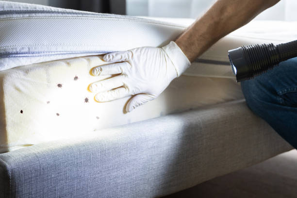 Best Best Pest Control Companies  in Troy Hills, NJ