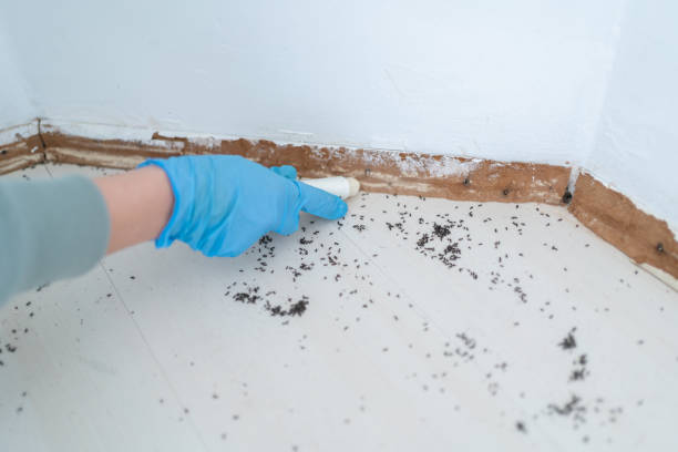 Best Pest Prevention Services  in Troy Hills, NJ