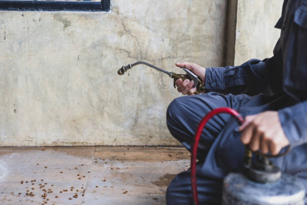 Best Pest Control for Restaurants  in Troy Hills, NJ